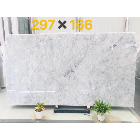 Carrara White