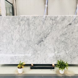 Carrara White