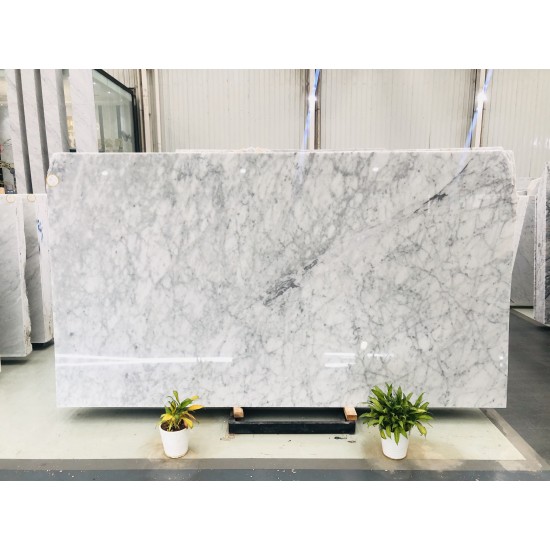 Carrara White